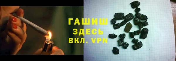 гашик Алексин
