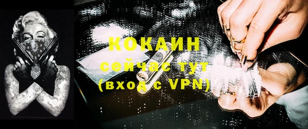 кокс Гусь-Хрустальный