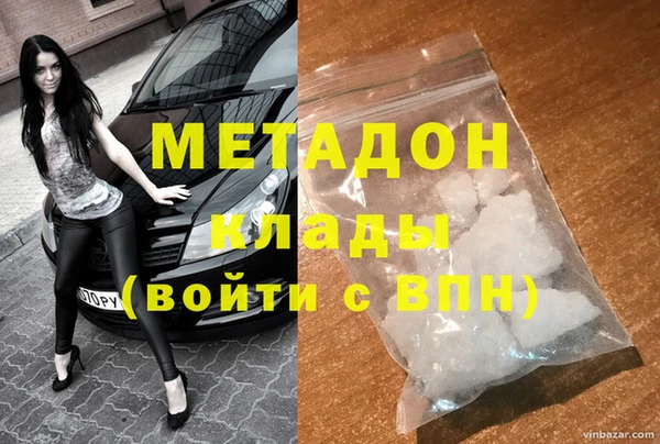 гашик Алексин