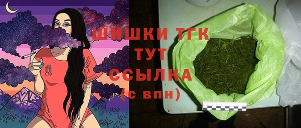 гашик Алексин