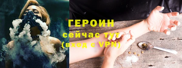 гашик Алексин