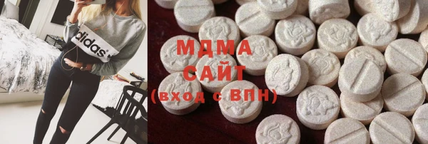 гашик Алексин
