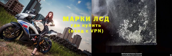 гашик Алексин