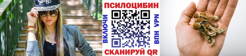 MEGA tor  Агидель  Псилоцибиновые грибы мухоморы 